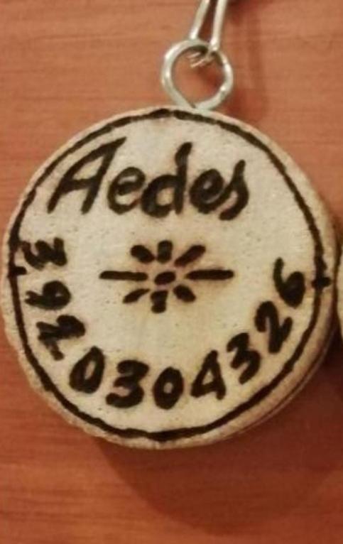 Gruppo Aedes Alghero, Residenza Michelangelo - 500 Mt Dalla Spiaggia Buitenkant foto